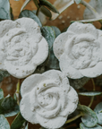 EUCALYPTUS MIST | Rejuvenating Sinus Relief | Natural & Organic Shower Steamers