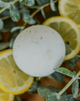 EUCALYPTUS LEMON GLOW | Exfoliating, Muscle Relief | Natural Bath Bomb