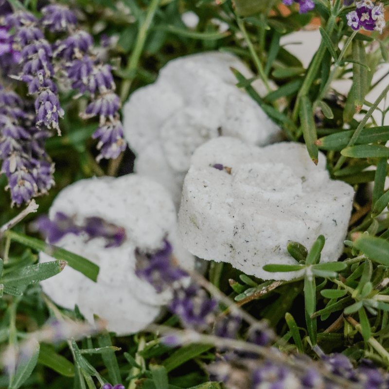 lavender shower plant LAVENDER DREAM | Relaxing, Sleep-Inducing | Natural & Organic Shower S –  Bloomin Bliss' Bath & Spa Works Home