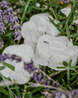 LAVENDER DREAM | Relaxing, Sleep-Inducing | Natural & Organic Shower Steamers