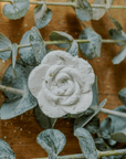 EUCALYPTUS MIST | Rejuvenating Sinus Relief | Natural & Organic Shower Steamers