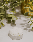 CITRUS ZEST | Energizing, Mood Boosting | Natural & Organic Shower Steamers