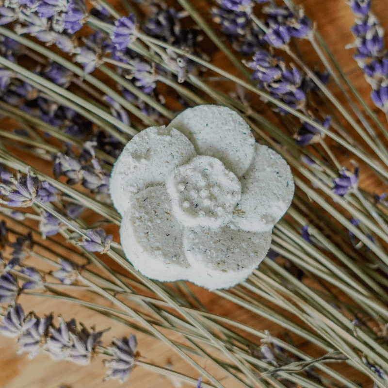 lavender plant in shower LAVENDER DREAM | Relaxing, Sleep-Inducing | Natural & Organic Shower S –  Bloomin Bliss' Bath & Spa Works Home