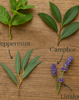 COLD RX | Sinus, Cold, Flu Support | Natural Shower or Bowl Steamers