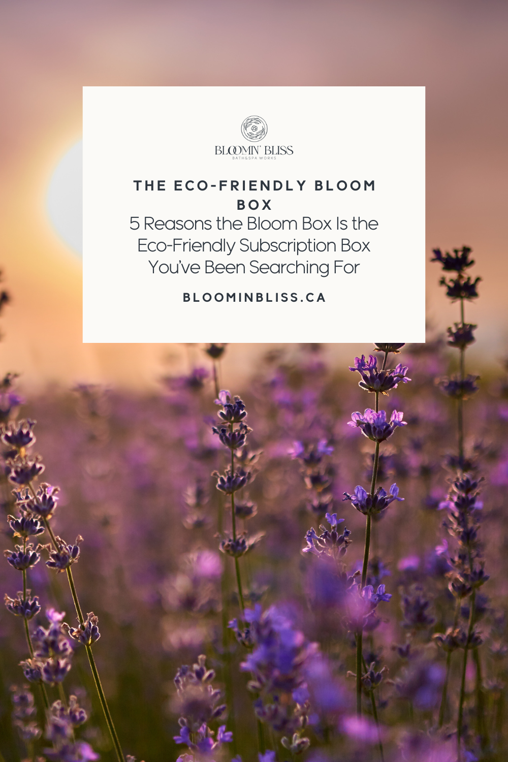 eco-friendly subscription box canadian shows lavender fields