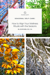 Seasonal Self-Care: How to Align Your Wellness Rituals with the Seasons