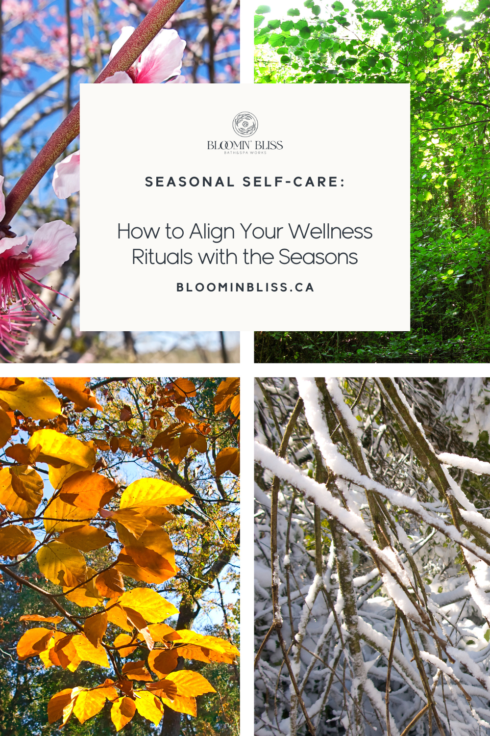 Seasonal Self-Care: How to Align Your Wellness Rituals with the Seasons