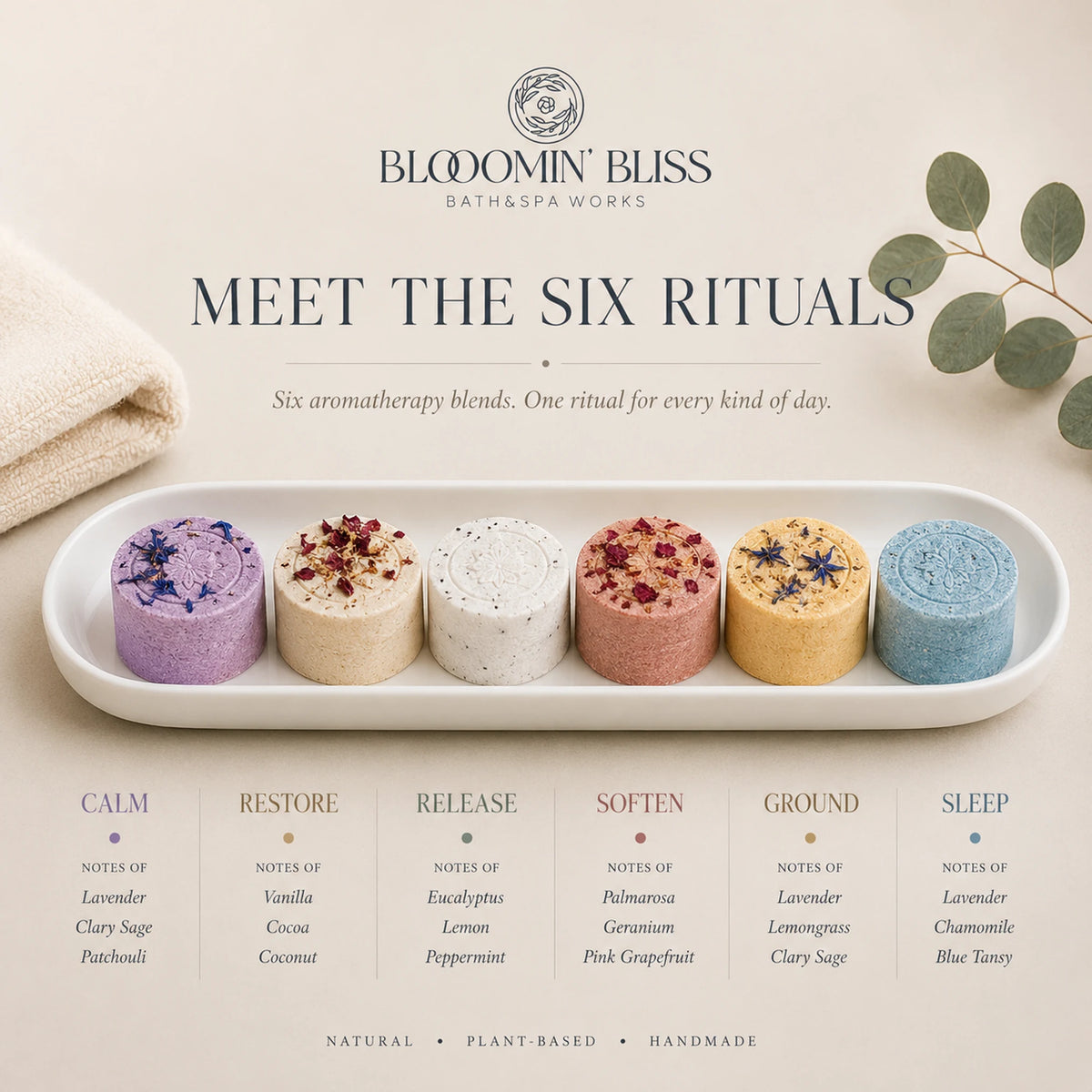 BATH BOMB SAMPLER (6 bombs) | The Perfect Bath Bomb Gift Set | The Bliss Box